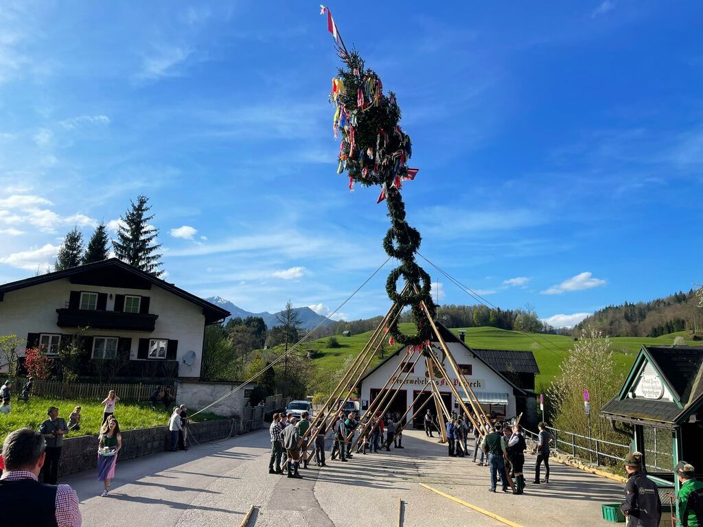 HFW Bad Ischl: Pernecker Maibaumaufstellen