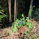 BFV Deutschlandsberg: Schwerer Verkehrsunfall auf der L646 7 Schwerer Verkehrsunfall auf der L646