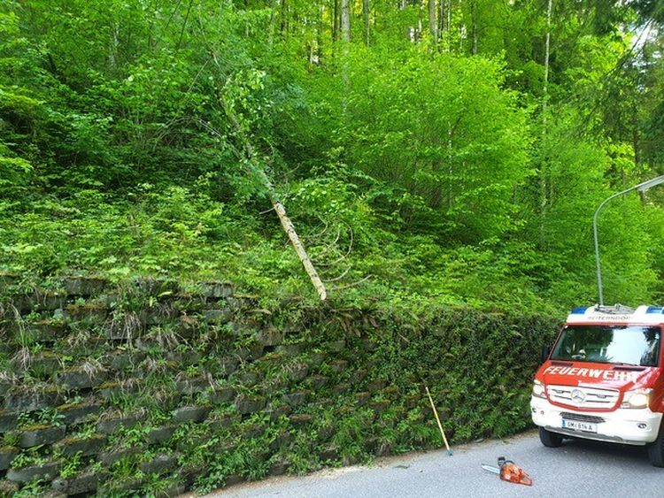 HFW Bad Ischl: Baum droht auf Fahrbahn zu rutschen 1 Baum droht auf Fahrbahn zu rutschen