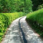 Ölspur im Bereich des Amselgraben