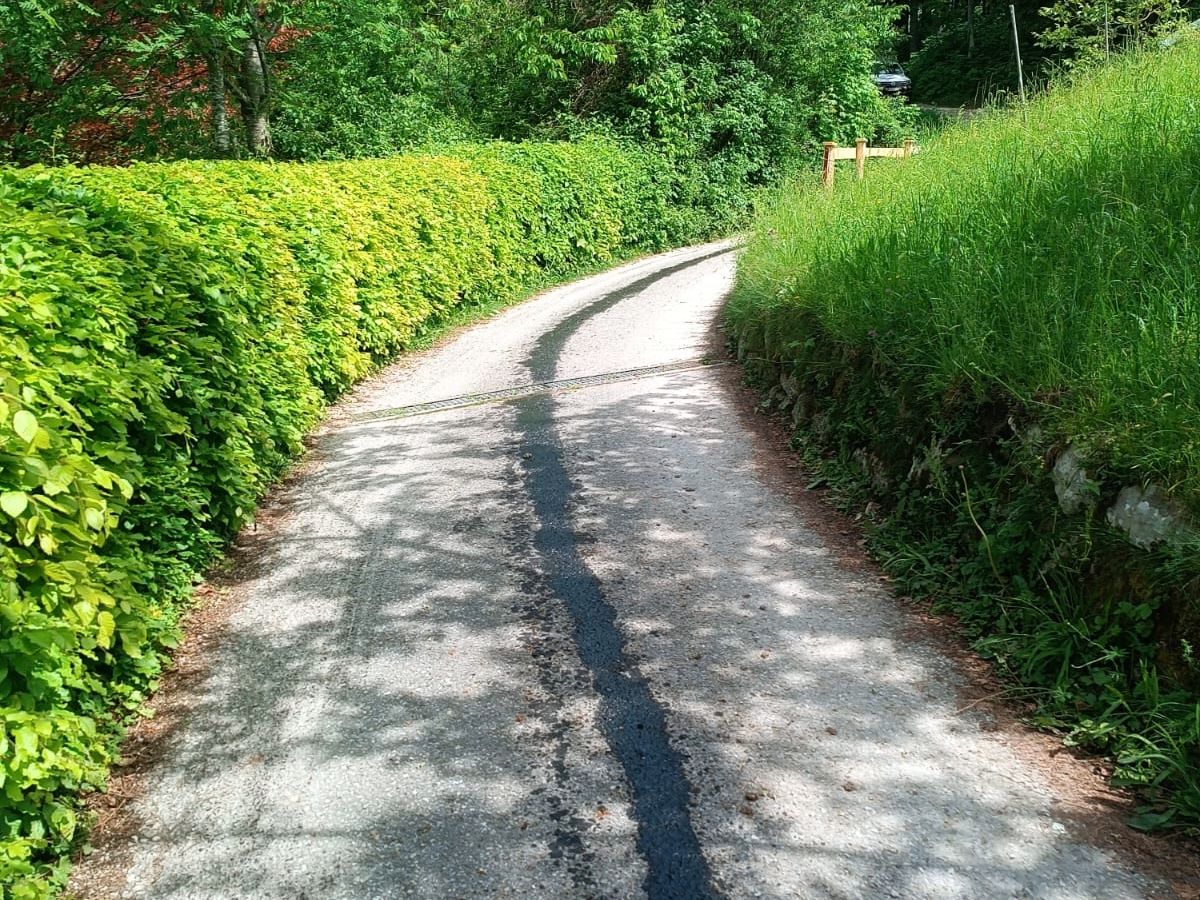 HFW Bad Ischl: Ölspur im Bereich des Amselgraben