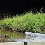 Umweltalarm nach PKW-Brand in Dietmanns