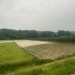 Hochwassereinsätze im Bezirk Weiz