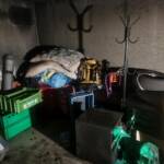 Brandverdacht entpuppt sich als Kellerbrand