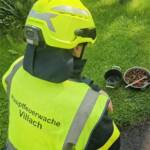 Küchenbrand durch rasches Eingreifen verhindert