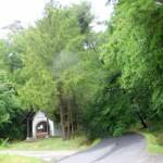 Eiche droht Hubertuskapelle zu zerstören