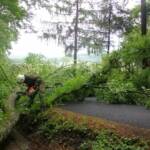 Eiche droht Hubertuskapelle zu zerstören
