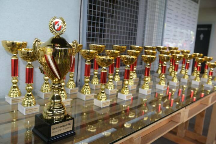 BFK Neusiedl am See: Bezirksfeuerwehrbewerbstag in Edelstal