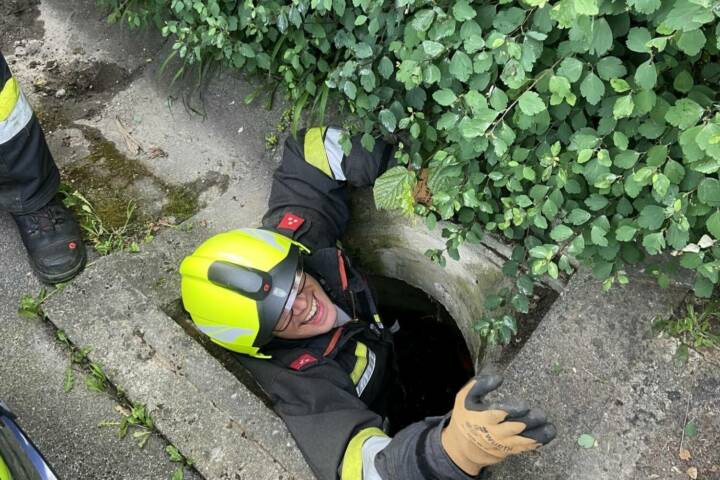 BFV Deutschlandsberg: Tierrettung in Stainz