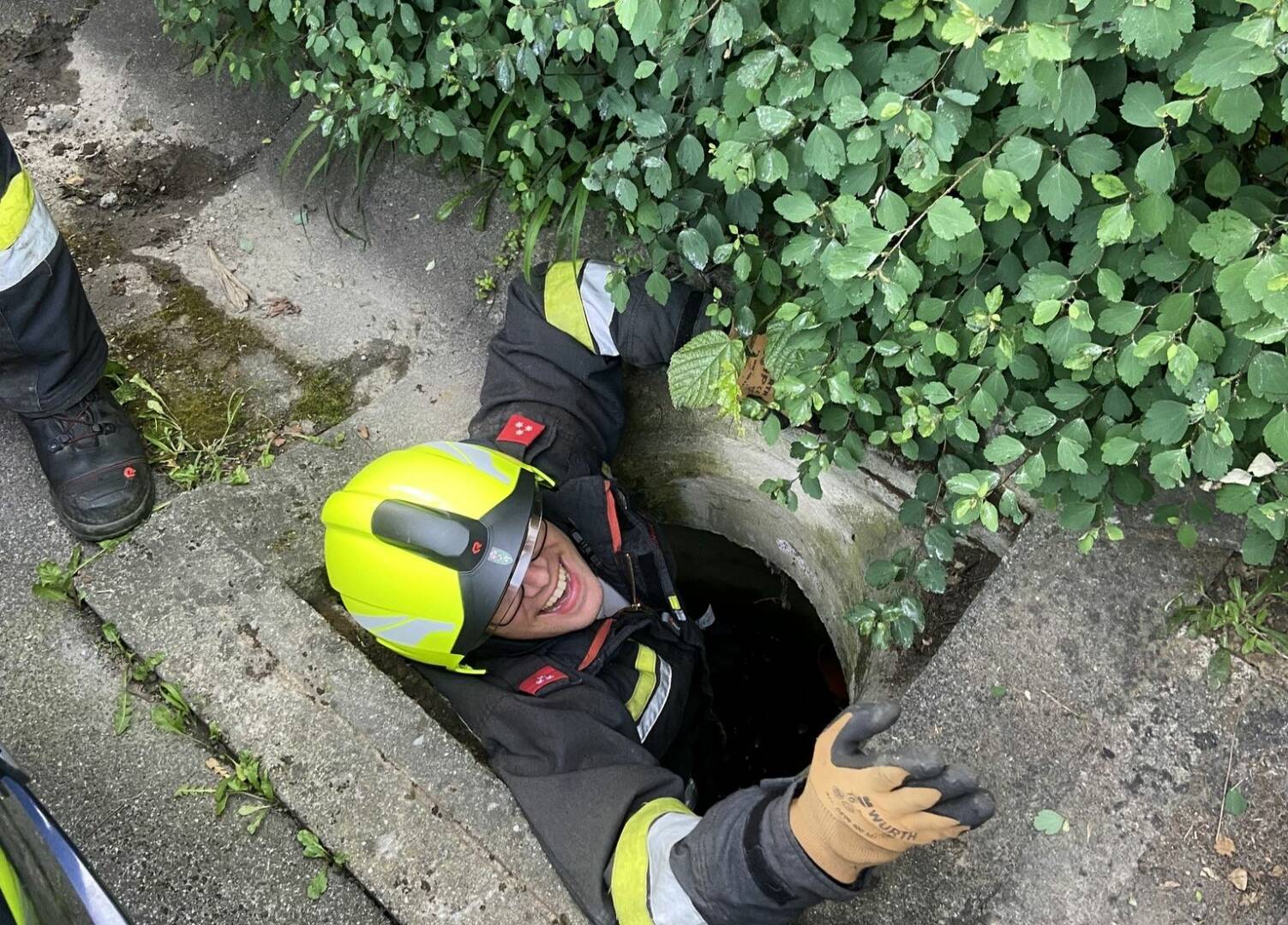 BFV Deutschlandsberg: Tierrettung in Stainz
