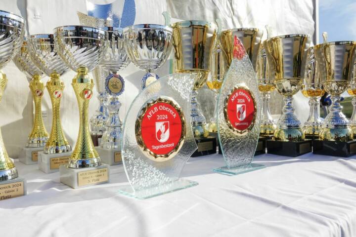 BFK Wiener Neustadt: Abschnittsfeuerwehr-Leistungsbewerb in Obereck