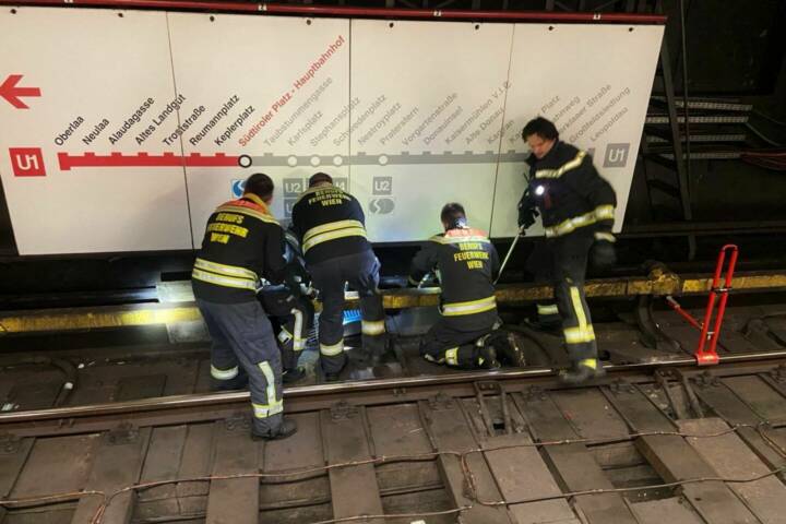 Katzenrettung in der U-Bahnstation