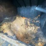 Feuerwehren verhindern Großbrand