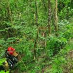 Menschenrettung aus abgestürztem Oldtimer