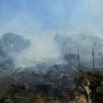 Aus dem Meer zum Brandeinsatz