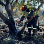 Aus dem Meer zum Brandeinsatz