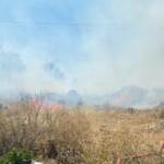 Aus dem Meer zum Brandeinsatz