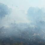 Aus dem Meer zum Brandeinsatz