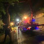 Menschenrettung vom Murufer