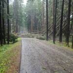 Unwetterfront im Norden des Bezirks Gmünd