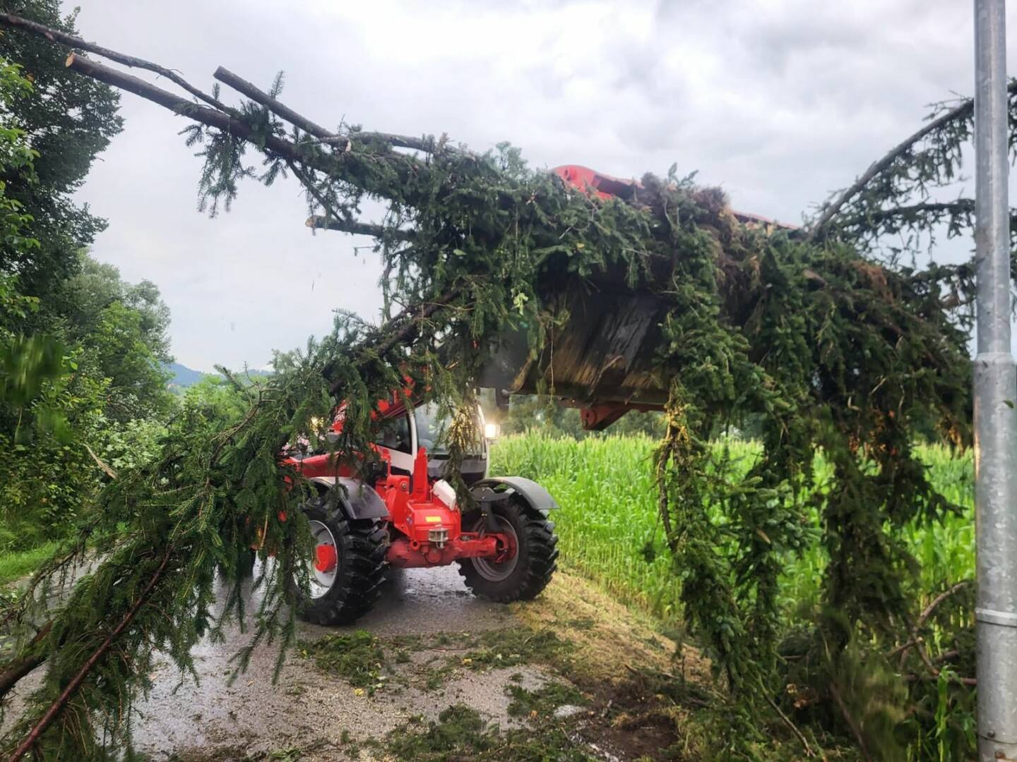 BFV Graz-Umgebung: Unwettereinsätze durch Gewittersturm