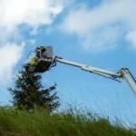 Feuerwehr rettet Innviertler Storchenfamilie