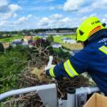 Feuerwehr rettet Innviertler Storchenfamilie