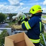 Feuerwehr rettet Innviertler Storchenfamilie