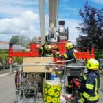 Feuerwehr rettet Innviertler Storchenfamilie