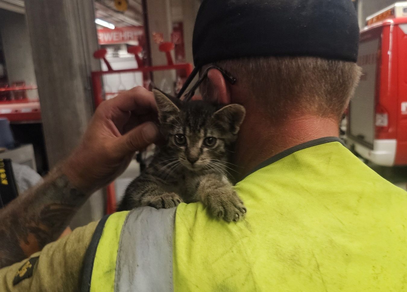 HFW Villach: Tierrettung in der Innenstadt