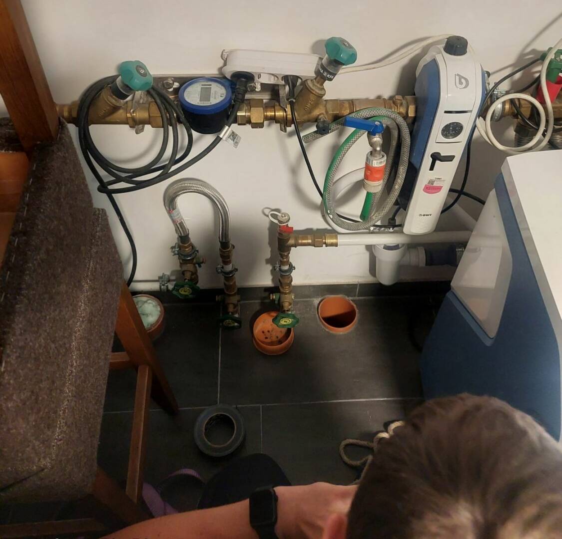 FF Andorf: Katzenrettung am Weltkatzentag