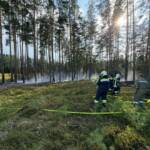 Schwieriger Waldbrand in unwegsamem Gelände