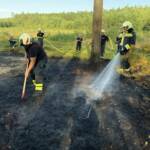 Schwieriger Waldbrand in unwegsamem Gelände