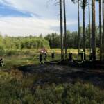 Schwieriger Waldbrand in unwegsamem Gelände