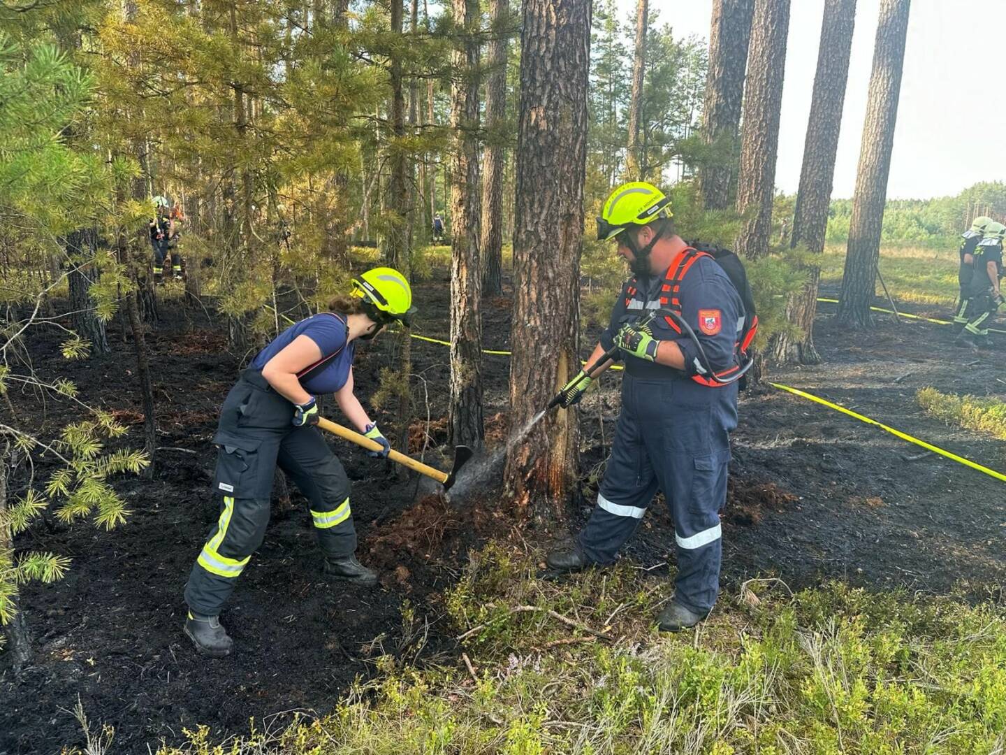 BFK Gmünd: Schwieriger Waldbrand in unwegsamem Gelände