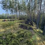 Schwieriger Waldbrand in unwegsamem Gelände