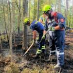 Schwieriger Waldbrand in unwegsamem Gelände