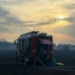 Waldbrand in Gänserndorf