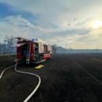 Waldbrand in Gänserndorf