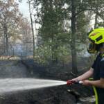 Waldbrand in Gänserndorf