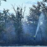Waldbrand in Gänserndorf