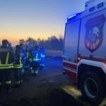 Waldbrand in Gänserndorf