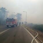 Waldbrand in Gänserndorf
