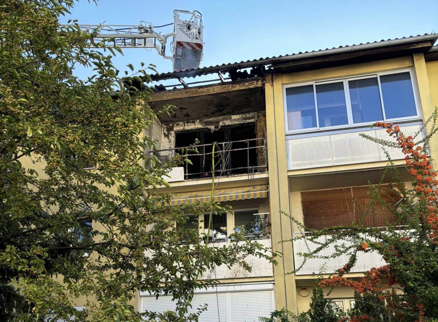 BF Wien: Dramatische Menschenrettung bei Zimmerbrand