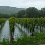 Hochwassermaßnahmen im Bezirk