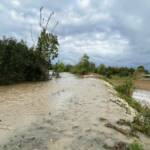 BFK Krems: Dammsicherung – Black Hawk-Einsatz bei Hadersdorf
