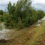 BFK Krems: Update Hochwasserlage Bezirk Krems 1