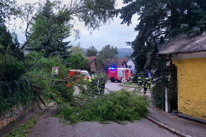 BFK Wiener Neustadt: Zahlreiche Unwettereinsätze im Bezirk