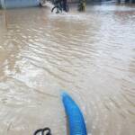 BFV Deutschlandsberg: Unwettereinsätze im Bezirk, Katastrophenhilfsdiensteinsatz in Niederösterreich