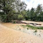 BFV Deutschlandsberg: Unwettereinsätze im Bezirk, Katastrophenhilfsdiensteinsatz in Niederösterreich
